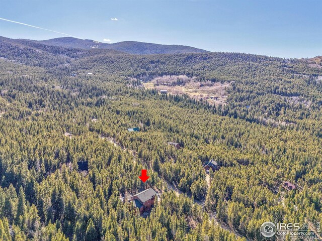 398 Mountain View Dr, Black Hawk, CO 80422 - photo 33