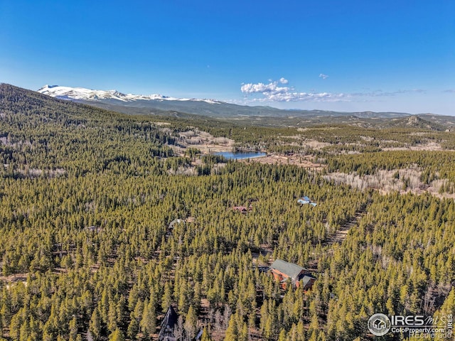 398 Mountain View Dr, Black Hawk, CO 80422 - photo 34