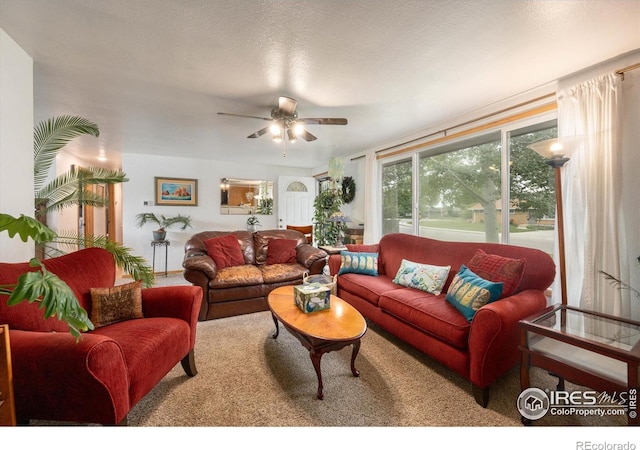2514 Lakecrest Pl, Loveland, CO 80538 - photo 4