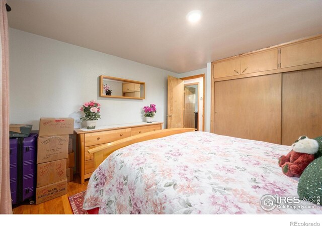 2514 Lakecrest Pl, Loveland, CO 80538 - photo 17