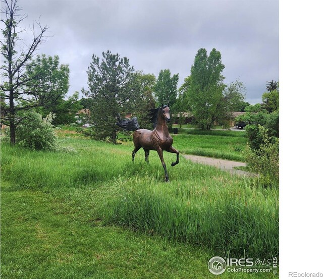 2514 Lakecrest Pl, Loveland, CO 80538 - photo 31