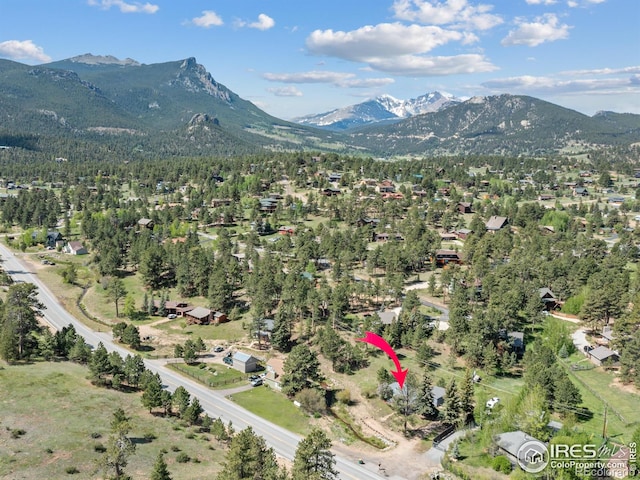2435 Fish Creek Rd, Estes Park, CO 80517 - photo 2