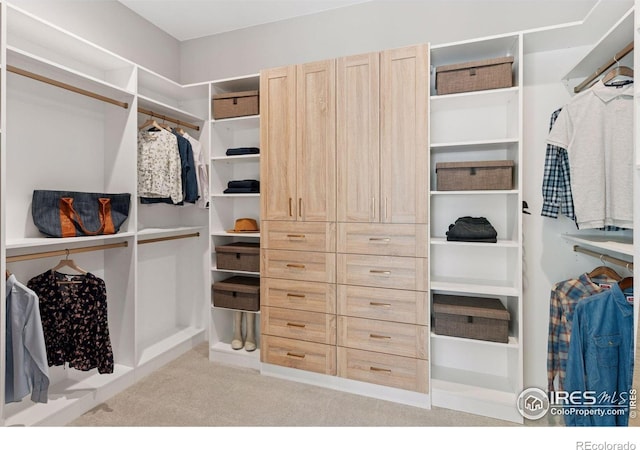 1425 Burt Ave, Berthoud, CO 80513 - walk in closet featuring carpet