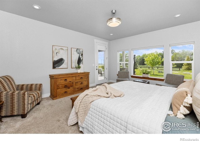 505 Nesting Eagles Way, Berthoud, CO 80513 - carpeted bedroom with access to exterior, recessed lighting, and baseboards