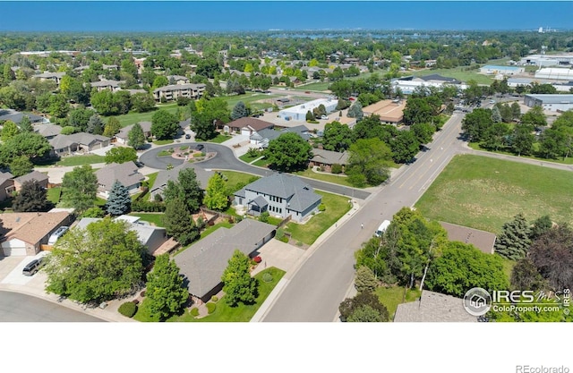803 Imperial Ct, Loveland, CO 80537 - photo 4