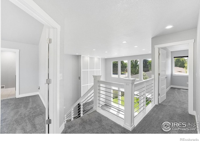 803 Imperial Ct, Loveland, CO 80537 - photo 23