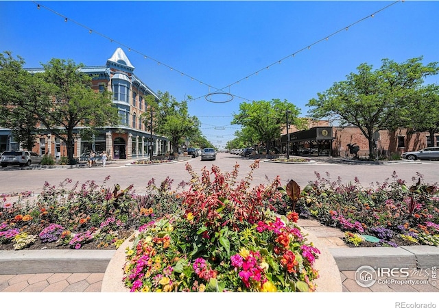 233 N Meldrum St Unit 8, Fort Collins, CO 80521 - view of property's community