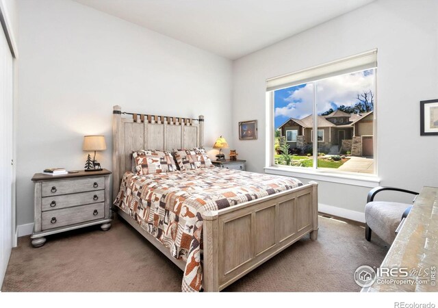 772 Deer Meadow Dr, Loveland, CO 80537 - photo 19
