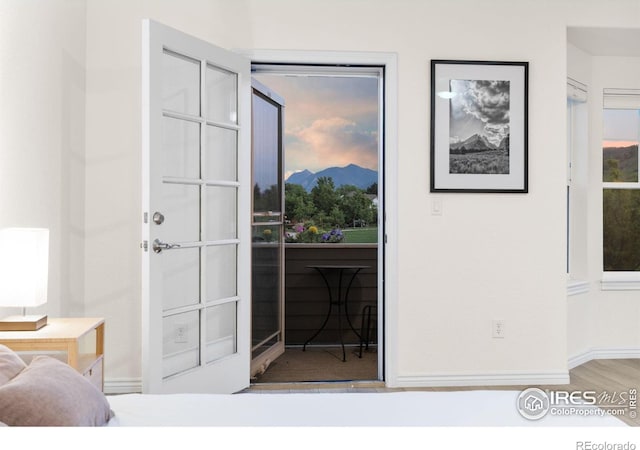 555 Laramie Blvd, Boulder, CO 80304 - doorway with baseboards, a mountain view, wood finished floors, and plenty of natural light