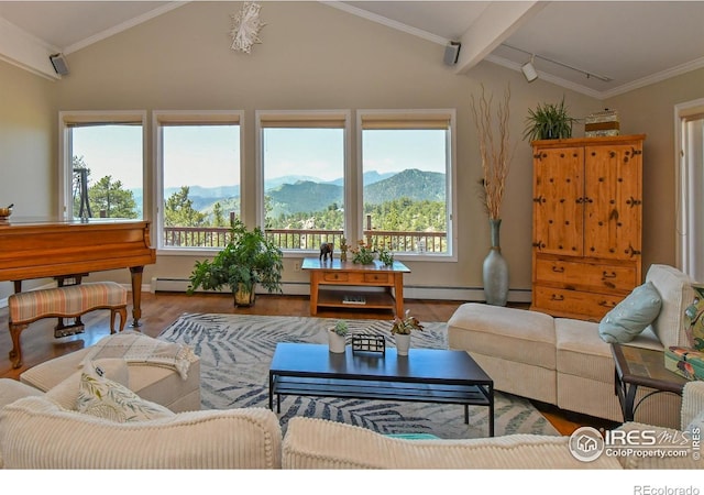 1960 Colard Ln, Lyons, CO 80540 - living area featuring wood finished floors, a mountain view, and baseboard heating