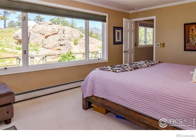 1960 Colard Ln, Lyons, CO 80540 - bedroom featuring baseboard heating, crown molding, and carpet flooring
