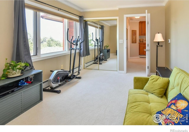 1960 Colard Ln, Lyons, CO 80540 - exercise area featuring ornamental molding, carpet flooring, and a baseboard radiator