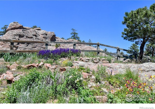 1960 Colard Ln, Lyons, CO 80540 - view of yard