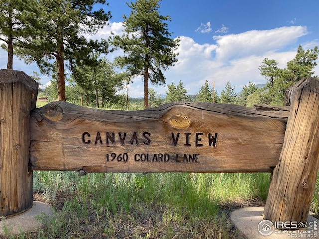 1960 Colard Ln, Lyons, CO 80540 - view of community sign