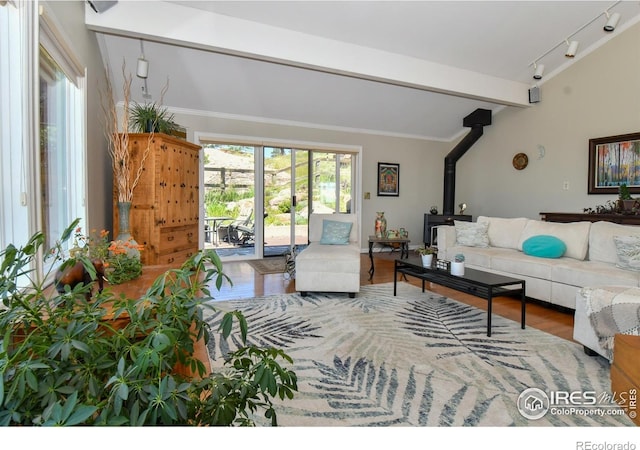 1960 Colard Ln, Lyons, CO 80540 - living room with wood finished floors, a wood stove, track lighting, and beamed ceiling