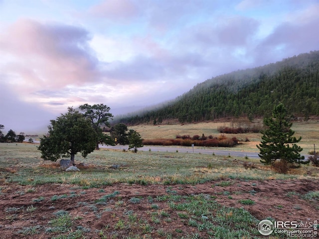 162 Meadowview Dr, Estes Park, CO 80517 - photo 5