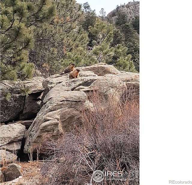 162 Meadowview Dr, Estes Park, CO 80517 - photo 34