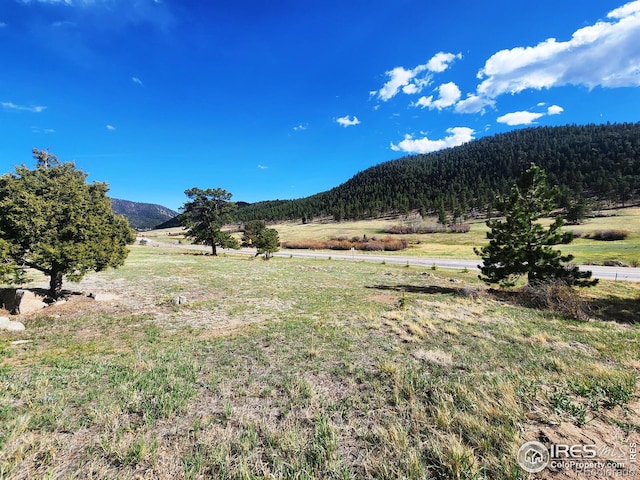 162 Meadowview Dr, Estes Park, CO 80517 - photo 35