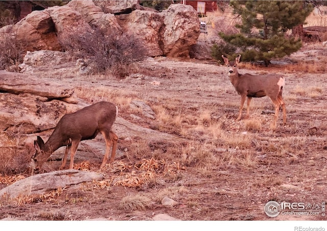 162 Meadowview Dr, Estes Park, CO 80517 - photo 37