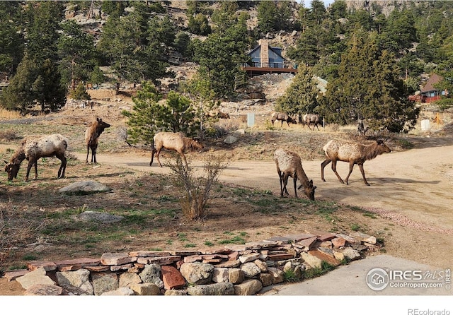 162 Meadowview Dr, Estes Park, CO 80517 - photo 38