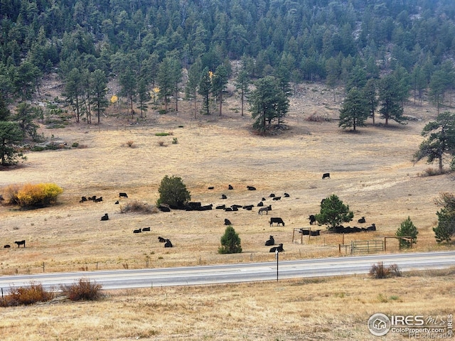 162 Meadowview Dr, Estes Park, CO 80517 - photo 39