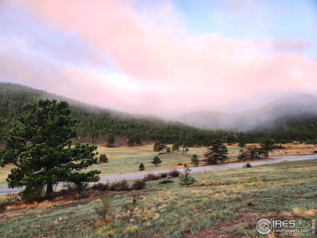 162 Meadowview Dr, Estes Park, CO 80517 - photo 1