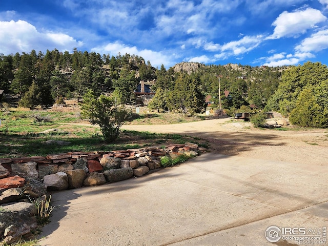162 Meadowview Dr, Estes Park, CO 80517 - photo 4