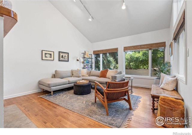 3490 16th St, Boulder, CO 80304 - living area with track lighting, high vaulted ceiling, and light wood-type flooring