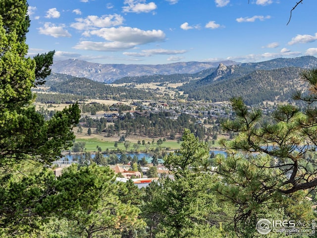 621 Landers St, Estes Park, CO 80517 - view of mountain backdrop with a nearby body of water