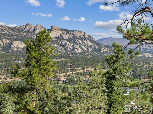 621 Landers St, Estes Park, CO 80517 - view of mountain backdrop with a forest