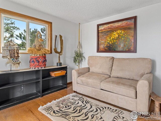 621 Landers St, Estes Park, CO 80517 - living room with wood finished floors and a textured ceiling