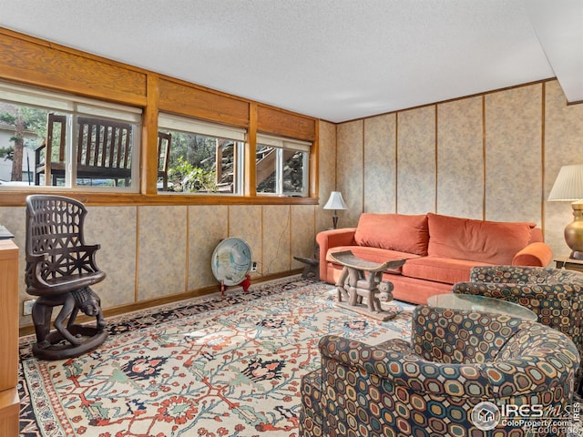 621 Landers St, Estes Park, CO 80517 - living area featuring a textured ceiling and carpet flooring