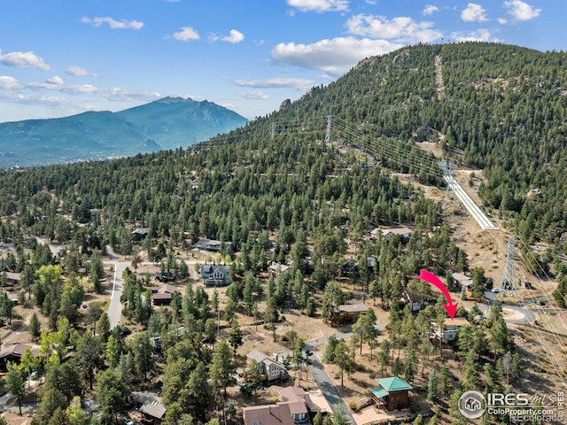 621 Landers St, Estes Park, CO 80517 - mountain view featuring a forest