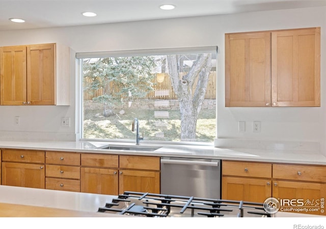 3635 Buckeye Ct, Boulder, CO 80304 - kitchen featuring stainless steel dishwasher, healthy amount of natural light, light countertops, and recessed lighting