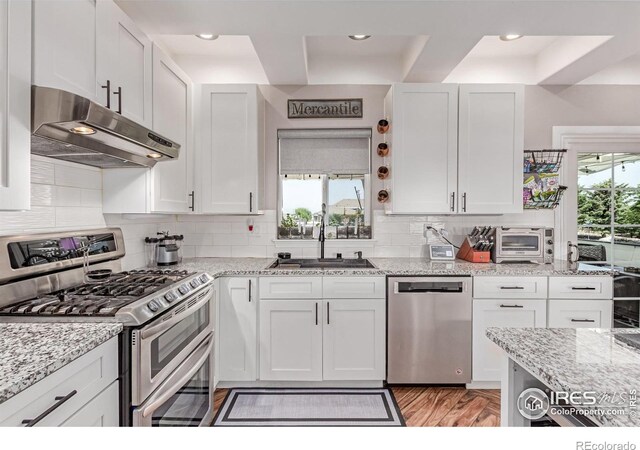 1451 Red Fox Cir, Severance, CO 80550 - kitchen featuring appliances with stainless steel finishes, ventilation hood, white cabinetry, backsplash, and light stone counters