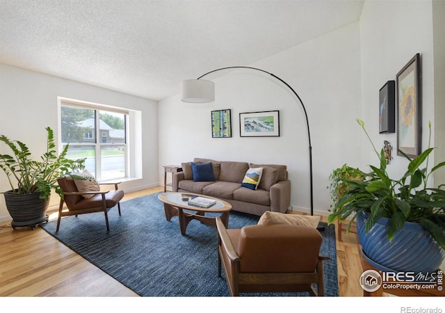 137 S Polk Ave, Louisville, CO 80027 - living area with wood finished floors and a textured ceiling