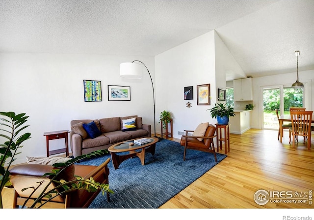 137 S Polk Ave, Louisville, CO 80027 - living room with light wood-type flooring, vaulted ceiling, and a textured ceiling