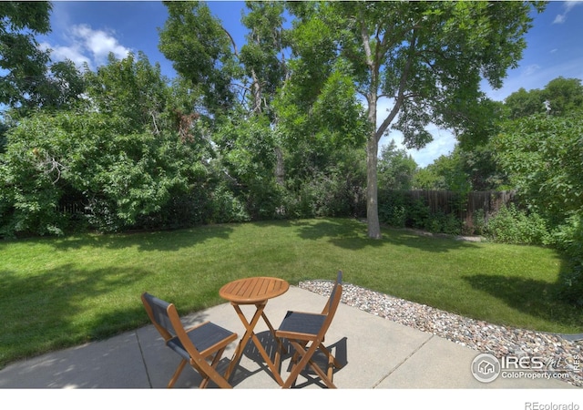 137 S Polk Ave, Louisville, CO 80027 - view of patio / terrace