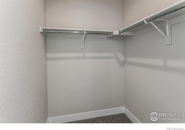 4790 Whistler Dr, Loveland, CO 80538 - photo 12