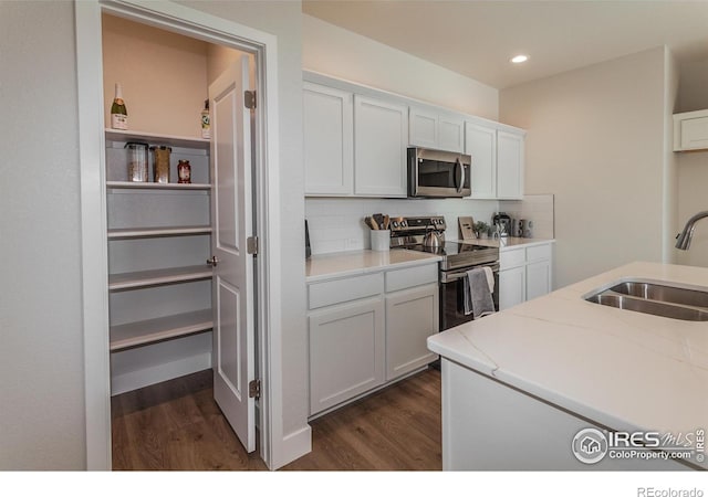 4790 Whistler Dr, Loveland, CO 80538 - photo 22