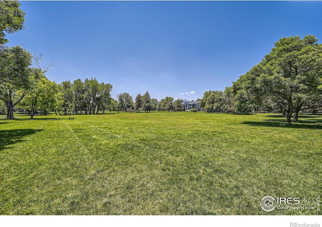 4771 White Rock Cir Unit B, Boulder, CO 80301 - view of green lawn