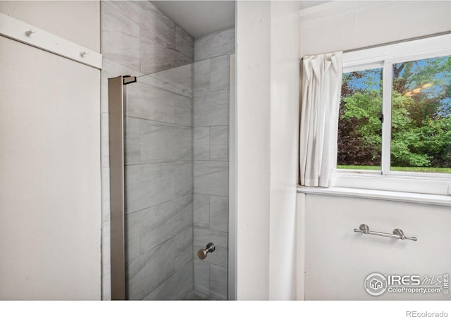 1512 Brentwood Dr, Fort Collins, CO 80521 - bathroom with a stall shower and healthy amount of natural light