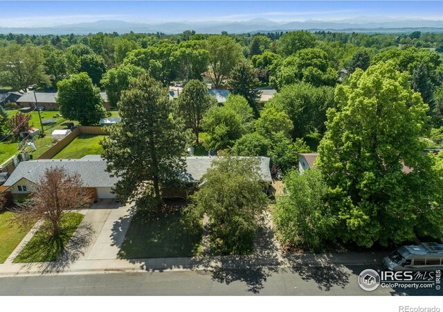 1005 Shortleaf Ct, Loveland, CO 80538 - photo 4