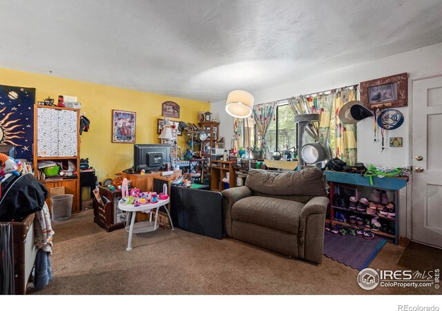 1005 Shortleaf Ct, Loveland, CO 80538 - photo 7