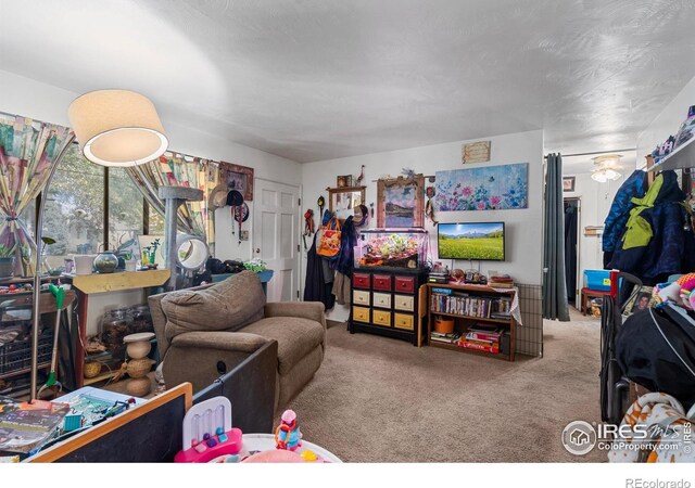 1005 Shortleaf Ct, Loveland, CO 80538 - photo 8