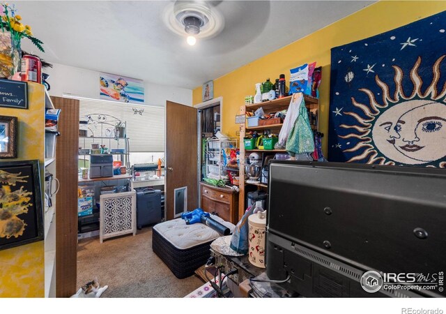 1005 Shortleaf Ct, Loveland, CO 80538 - photo 9
