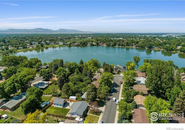 1005 Shortleaf Ct, Loveland, CO 80538 - photo 34