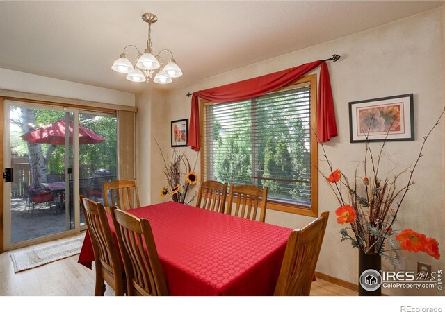 7213 W 21st St, Greeley, CO 80634 - photo 9