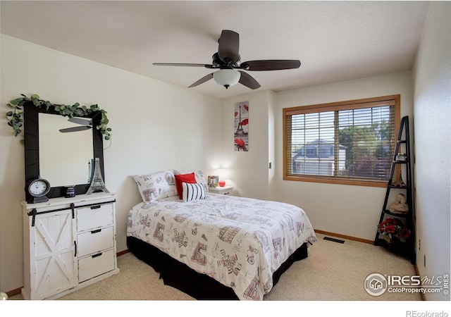 7213 W 21st St, Greeley, CO 80634 - photo 22