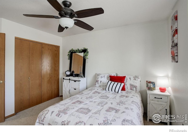 7213 W 21st St, Greeley, CO 80634 - photo 23